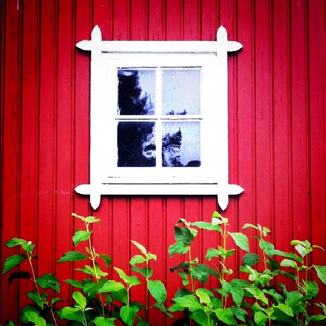 Gammelt vindu på en rød vegg med grønne planter i forgrunnen.